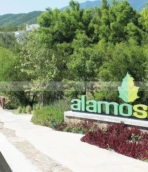 Alamo