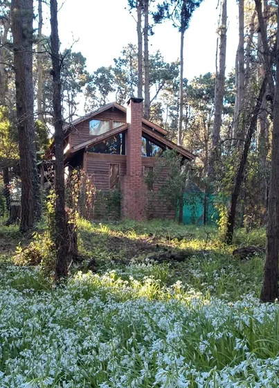 Cabaña Yembe,la Paz Dentro Bosque Y A Pasos Del Mar