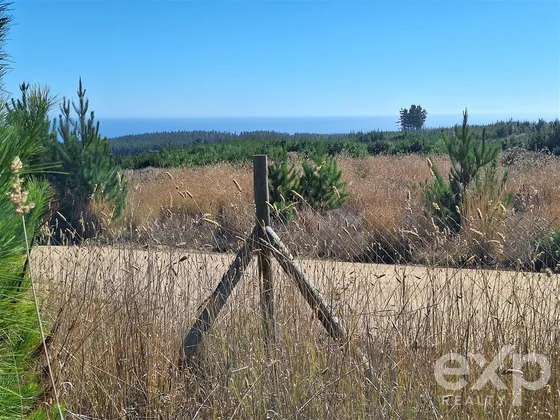 Vende Parcela 5.000m2 Vista Al Mar Pichilemu