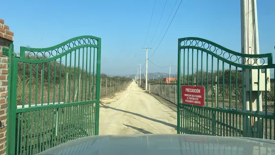 Limache Se Vende Parcela De 5000 Mts2