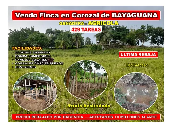 Vendo Finca 429 Tareas En Bayaguana, Ultima Rebaja (ganadera  Agricola) , Solo 18 Millones