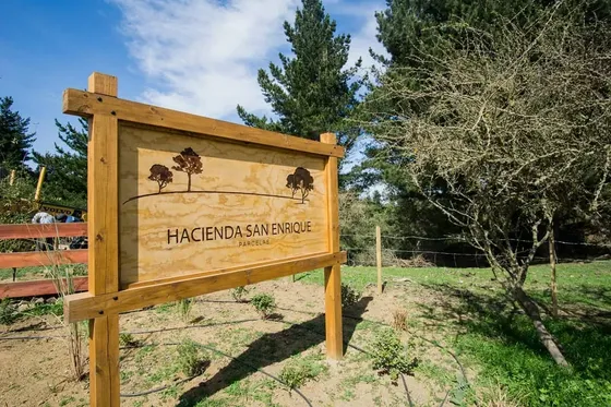 Parcela 1 Hectárea Para Proyecto Sustentable | Navidad