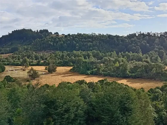 Campo Agrícola En Venta, Los Muermos