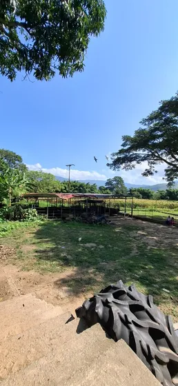 Vera Casa Inmobiliaria Vende Finca En Chirgua Jlop