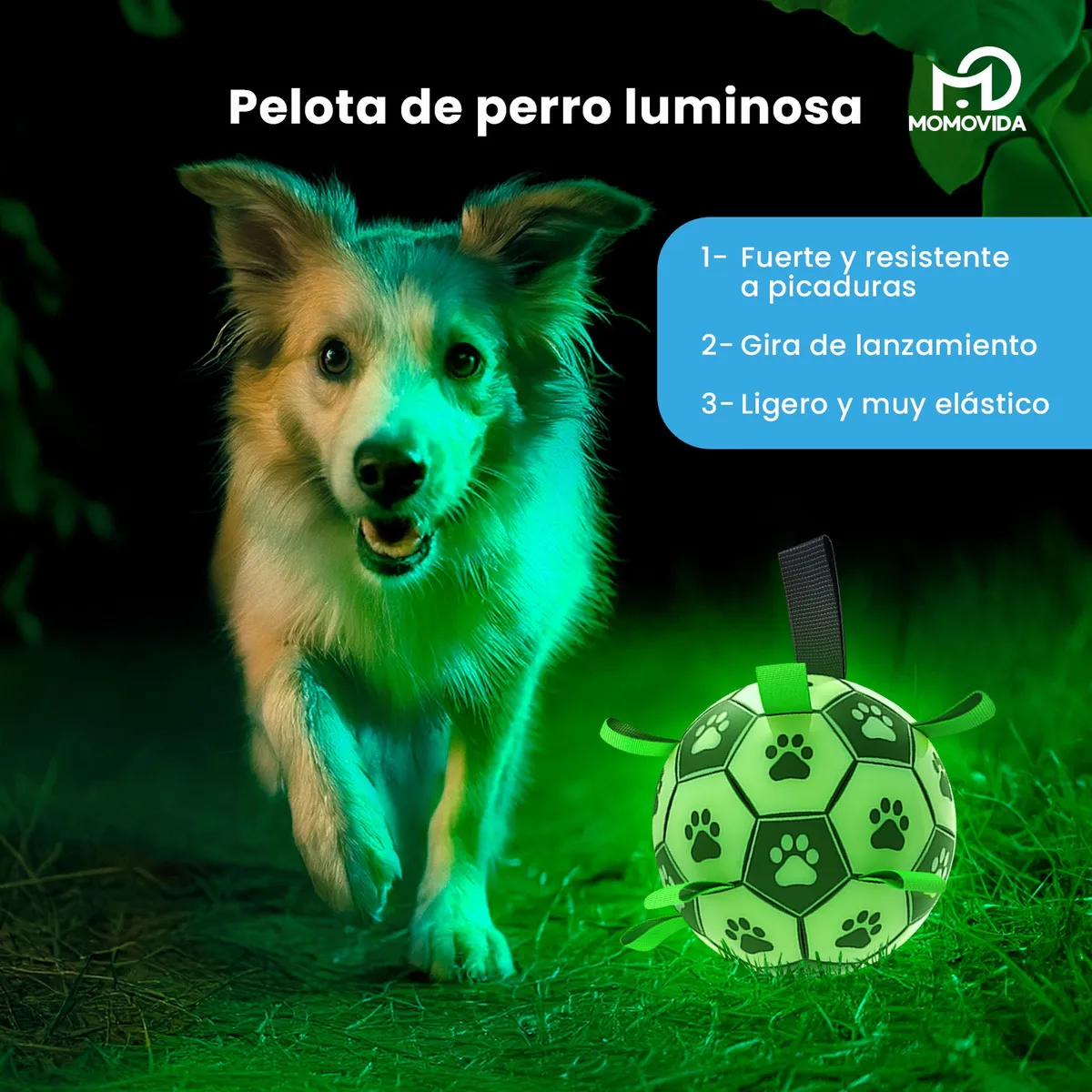 Pelota de Fútbol Interactiva MOMOVIDA para Perros