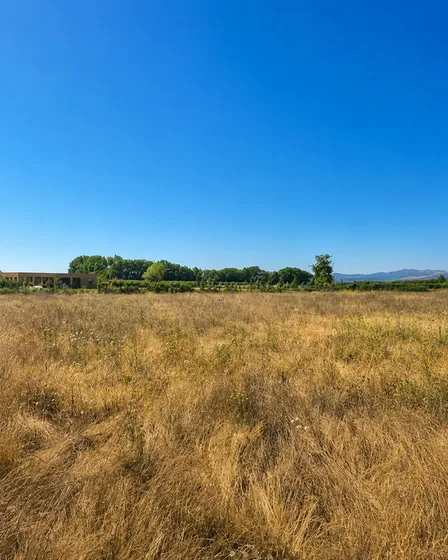 Parcela Plana De 5.000m2 Con Portón En Santa Rosa Los Niches
