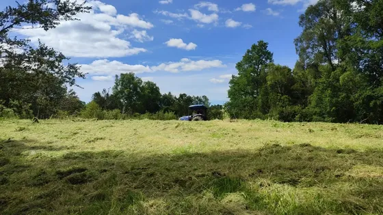 Campo De 9,8 Hectáreas En La Traca, Máfil Con Agua Y Luz