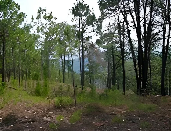 Terreno Minero Ecoturístico Tejupilco Hidalgo, Estado De México 174 Has