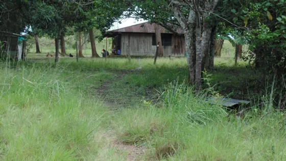 Finca De 1.725 Hectáreas Con Escritura Pública - Negociable