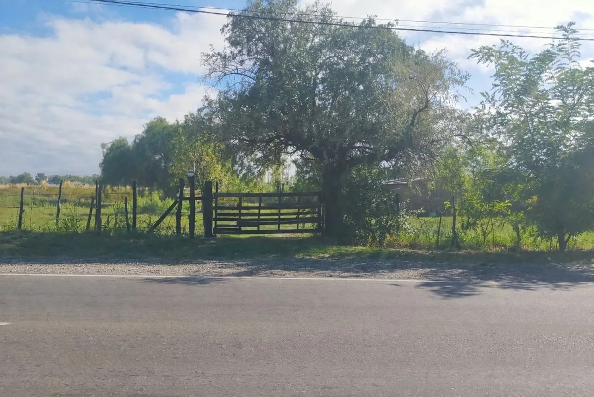 Lote En Venta De 5 Hectáreas En San Rafael Mendoza