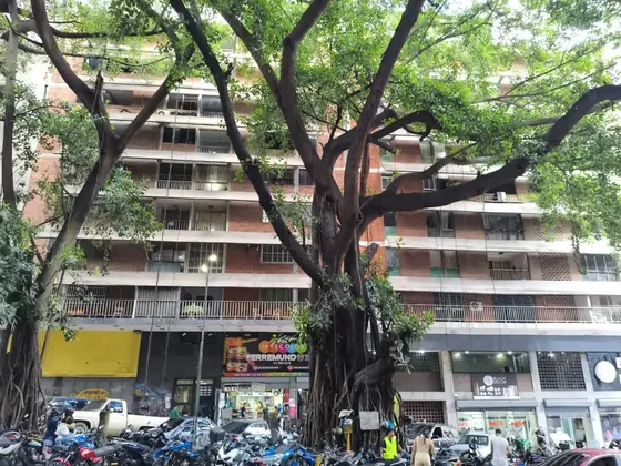 Venta Apartamento El Recreo Al Lado Del C.c El Recreo Wsz