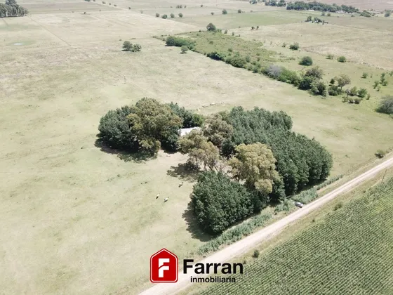Venta Chacra De 10 Hectáreas En Chas, General Belgrano 