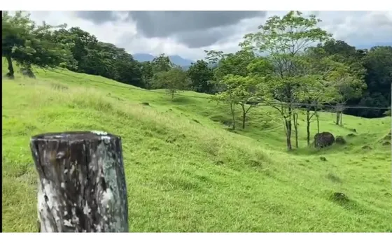 Vendo Finca Ganadera 200 Has Por Puerto Boyaca