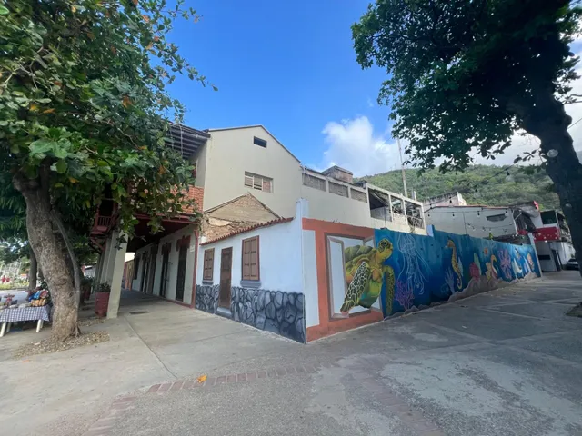 Me 25-19618 Venta Casa Comercial Macuto