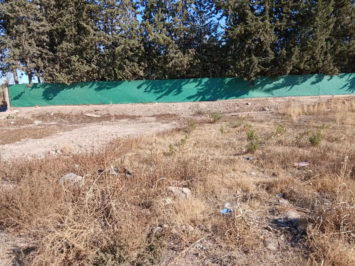 Lotes, Cruz De Piedra, Maipú, Mendoza