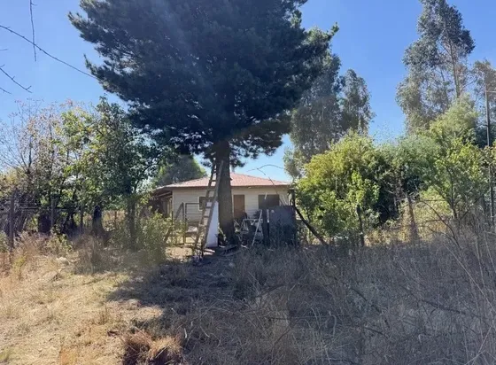 Terreno Urbano Con 2 Casas, 1.250 M2, Pitrufquén