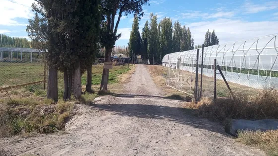 Venta De Chacra 9 Hectáreas, Productiva /comercial Con Invernaderos