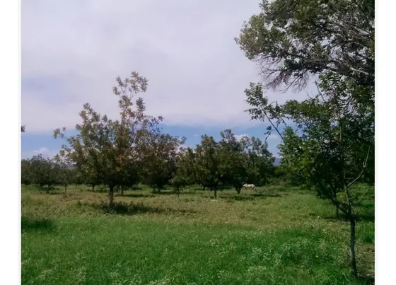 Finca-rancho En Venta En La Goma, Lerdo, Durango