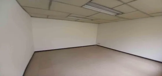 Oficina En Arriendo En El Centro/manizales  (279059570).