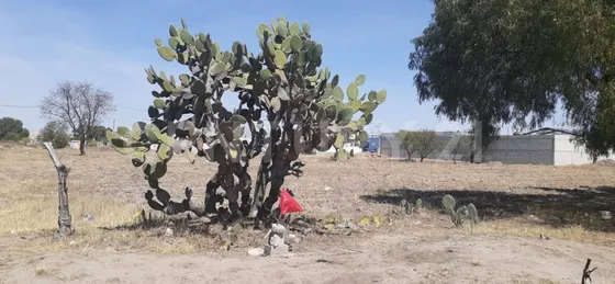 Terreno En Venta Zumpango Edomex