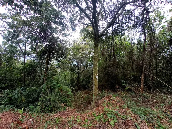 Oportunidad En Venta - 2 Lotes En Dapa, En El Exclusivo Sector De Miravalle, Calle Del Viento.