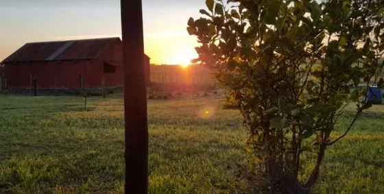 Quinta En Venta En Lavalleja