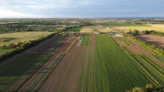 7,5 Has Camino A San Carlos, Córdoba Capital