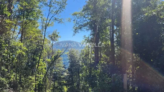 Parcela En Condominio Con Termas Privadas, Pucón