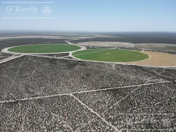 Campo En Venta 1400 Has En Fracciones Zapata, Mendoza. Apto Cultivos Extensivos !!!