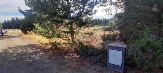 Terreno Lote  En Venta En Dina Huapi, Bariloche, Patagonia