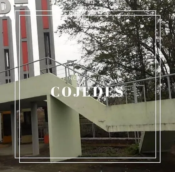 Venta De Finca En Taguanes Edo. Cojedes
