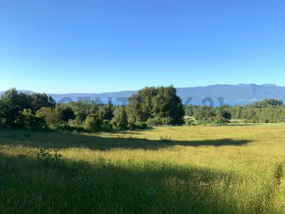 Oportunidad Parcelas Con Vista Al Lago Los Riscos
