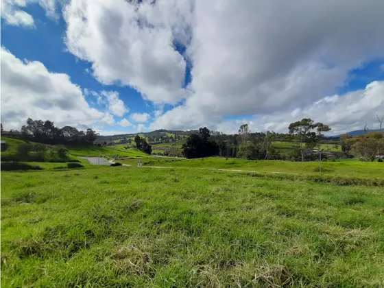 Venta De Lote En El Alto De Las Palmas
