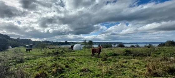 Terreno En Península De Rilán