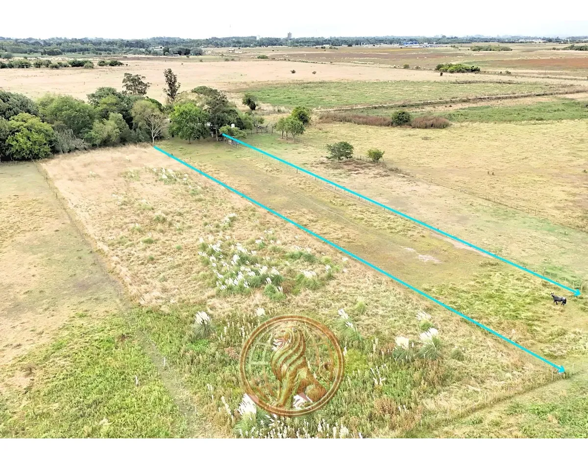 Venta Terreno De 4.600 M² En Madariaga A 150 Mts. De La Ruta 74
