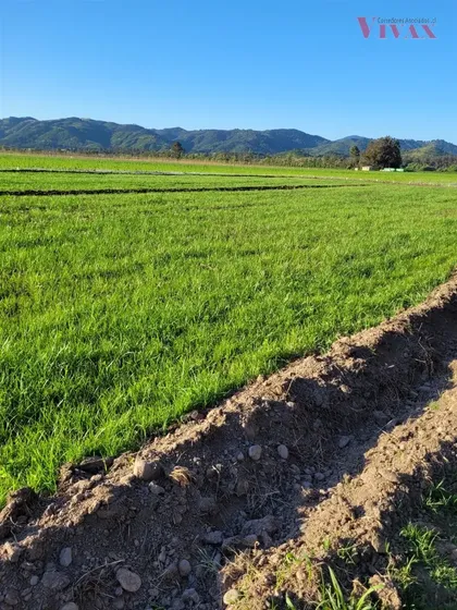 Sitio En Venta En El Buche, Hualañe