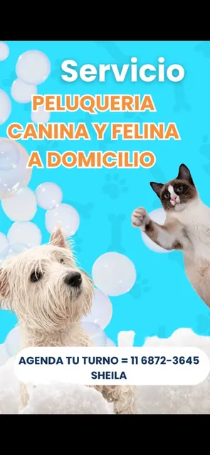 Peluqueria Canina Y Felina A Domicilio