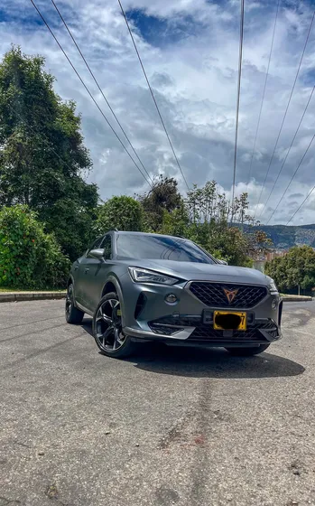 Cupra Formentor 2.0 Tsi Mate Dsg