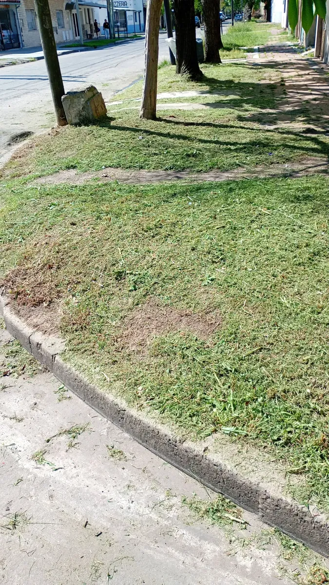 Servicio De Jardinería 65563033368451121