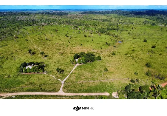 Terra De 60 Alqueires 55 Em Pasto E 5 Em Mata Virgem 