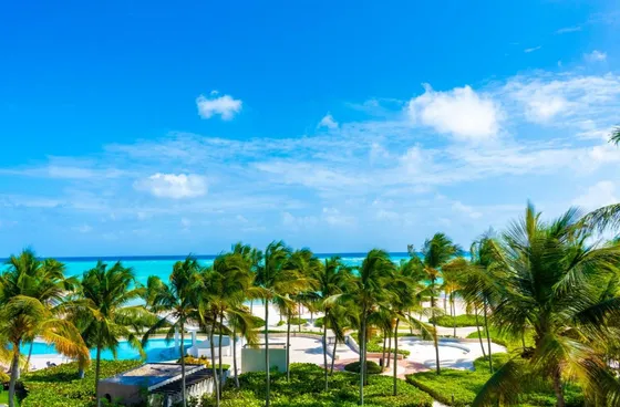  Lujo, Exclusividad Y Elegancia En Cap Cana. Apartamento Con Vista A La Marina Y Acceso A Playa Privada