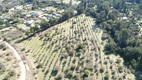 Venta De Parcela Agricola Sector Los Perales Quilpue
