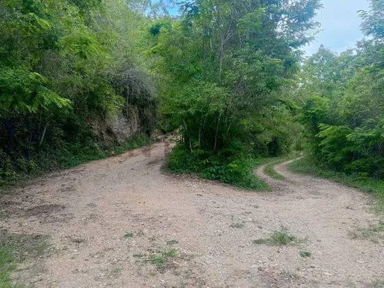 Terreno En Venta Res O Agrícola Sabaneta En El Hatillo Caracas