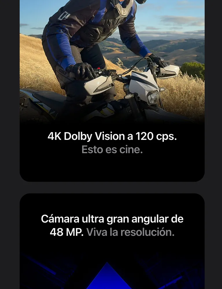 descripción