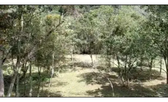 Venta De Lote Para Parcelar Vía La Ceja, El Retiro Antioquia