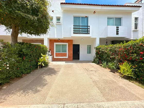 Casa Flamingos Blue