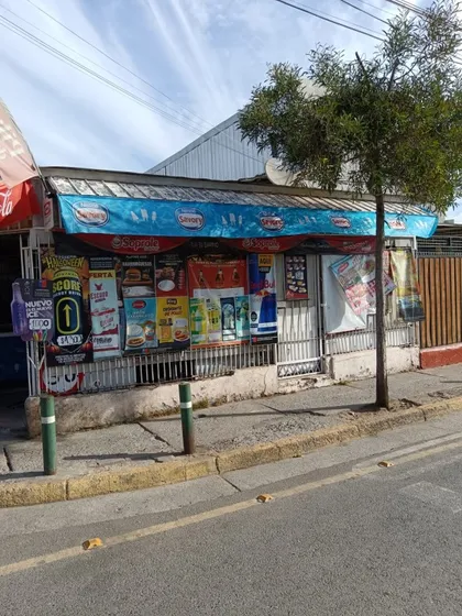 Océano Atlántico, El Bosque 