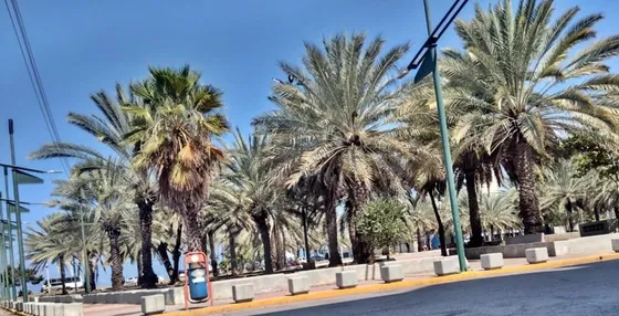 Local En Alquiler Plaza Bolívar De Lechería