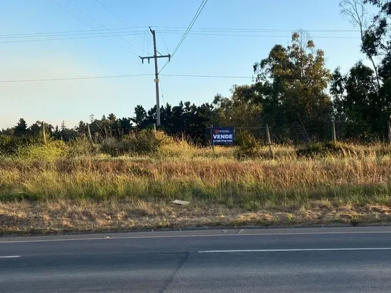Hectárea Plana Frente A Ruta F-90 Algarrobo