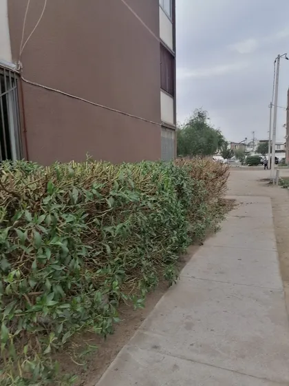 Venta Dpto Cerro Navia, Apto Con Subsidio Ds1 + Hipotecario